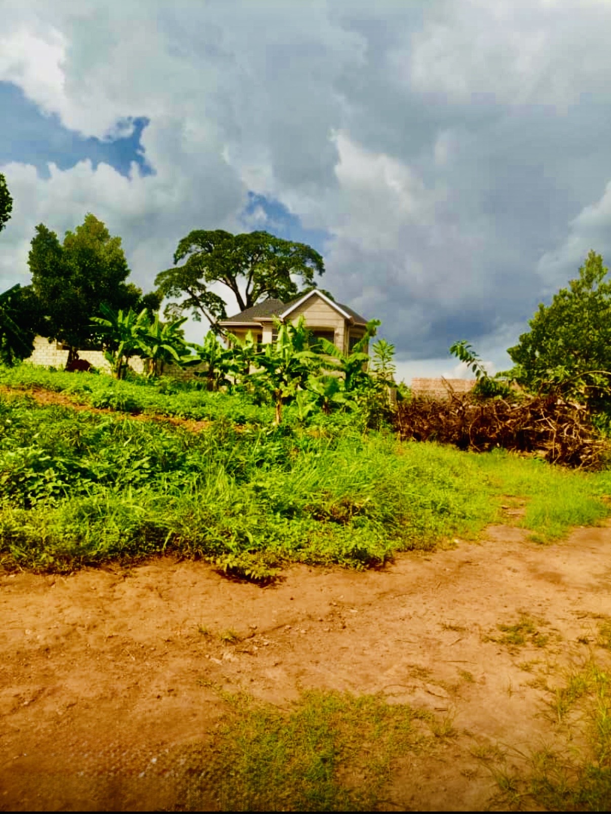 Land for development 