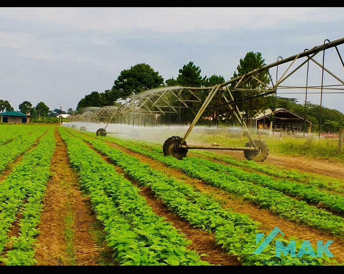 Farm land