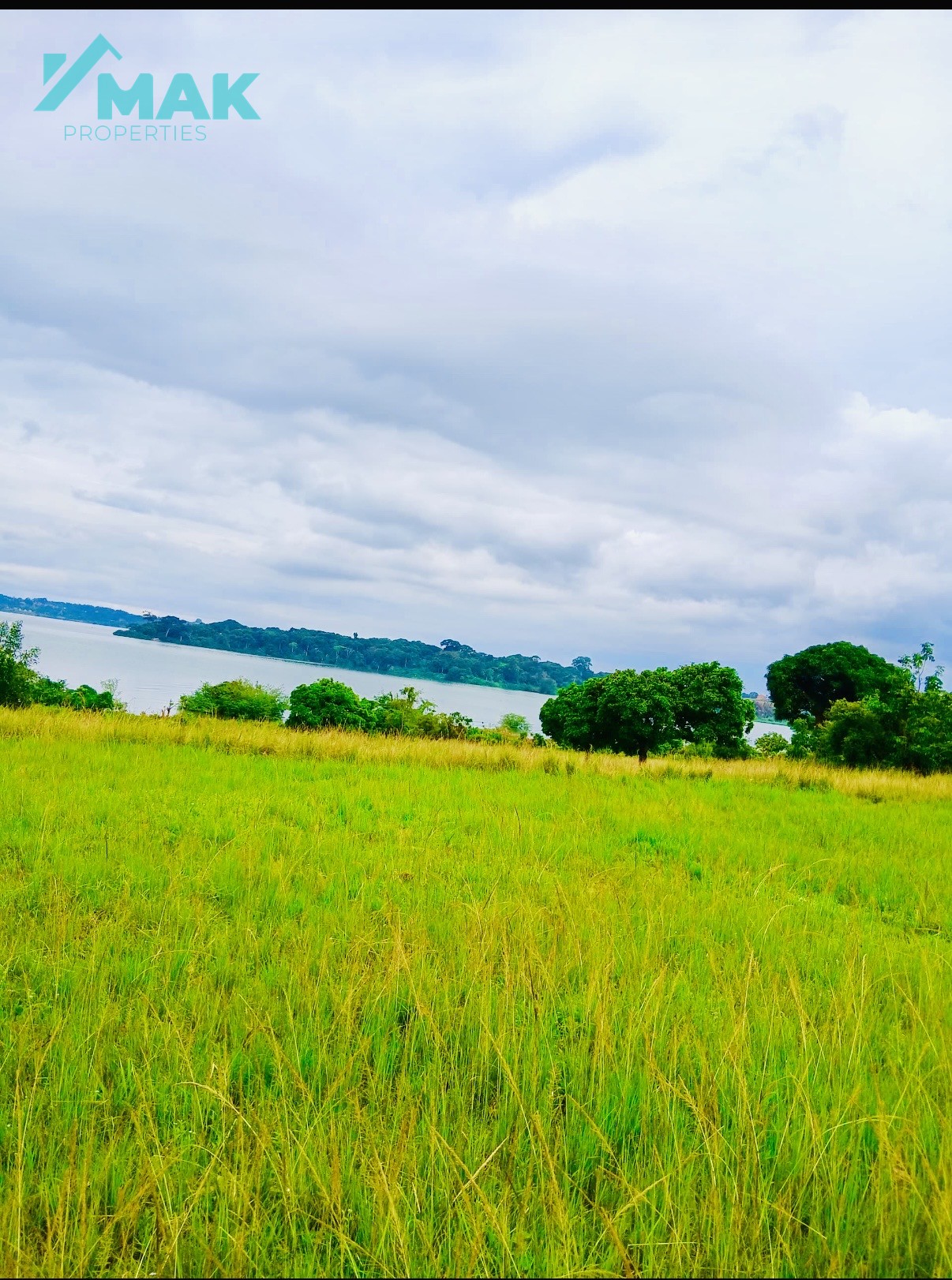 Land for investment 