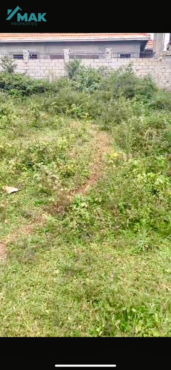 Land for investment