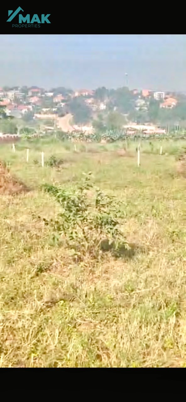 Land for investment